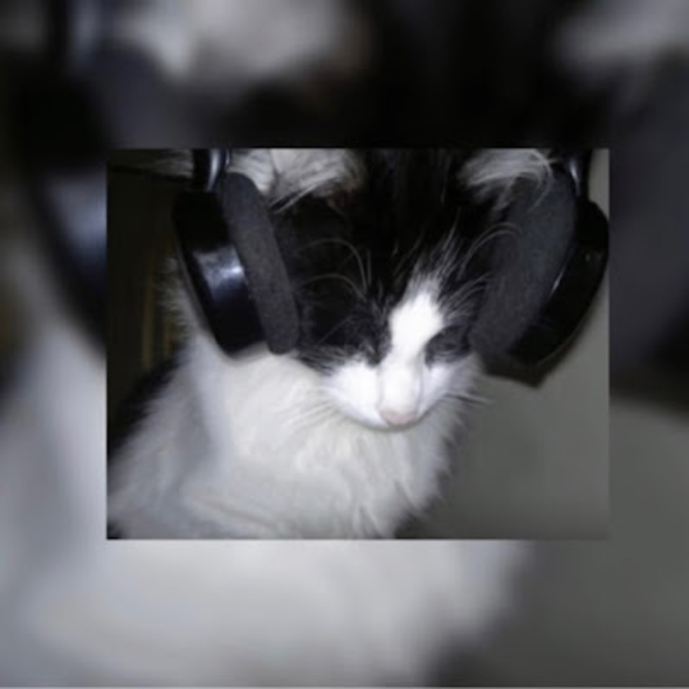 Meet your Posher, L0nl3y_f0r3v3r